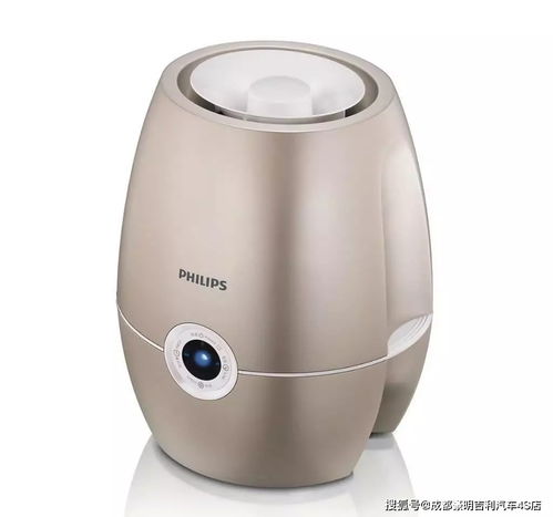 元旦造夢者 你知道嗎