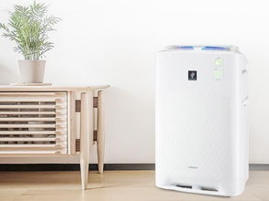 霧霾的傷害比你想的更嚴(yán)重 你還不買個空氣凈化器嗎